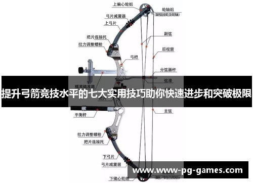 提升弓箭竞技水平的七大实用技巧助你快速进步和突破极限
