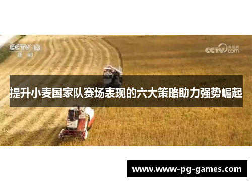 提升小麦国家队赛场表现的六大策略助力强势崛起