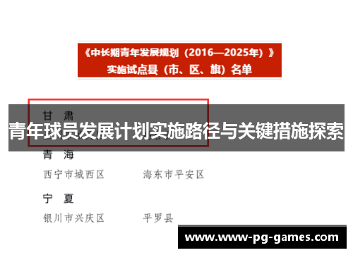 青年球员发展计划实施路径与关键措施探索